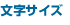 文字サイズ