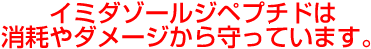 イミダゾールジペプチドは消耗やダメージから守っています。